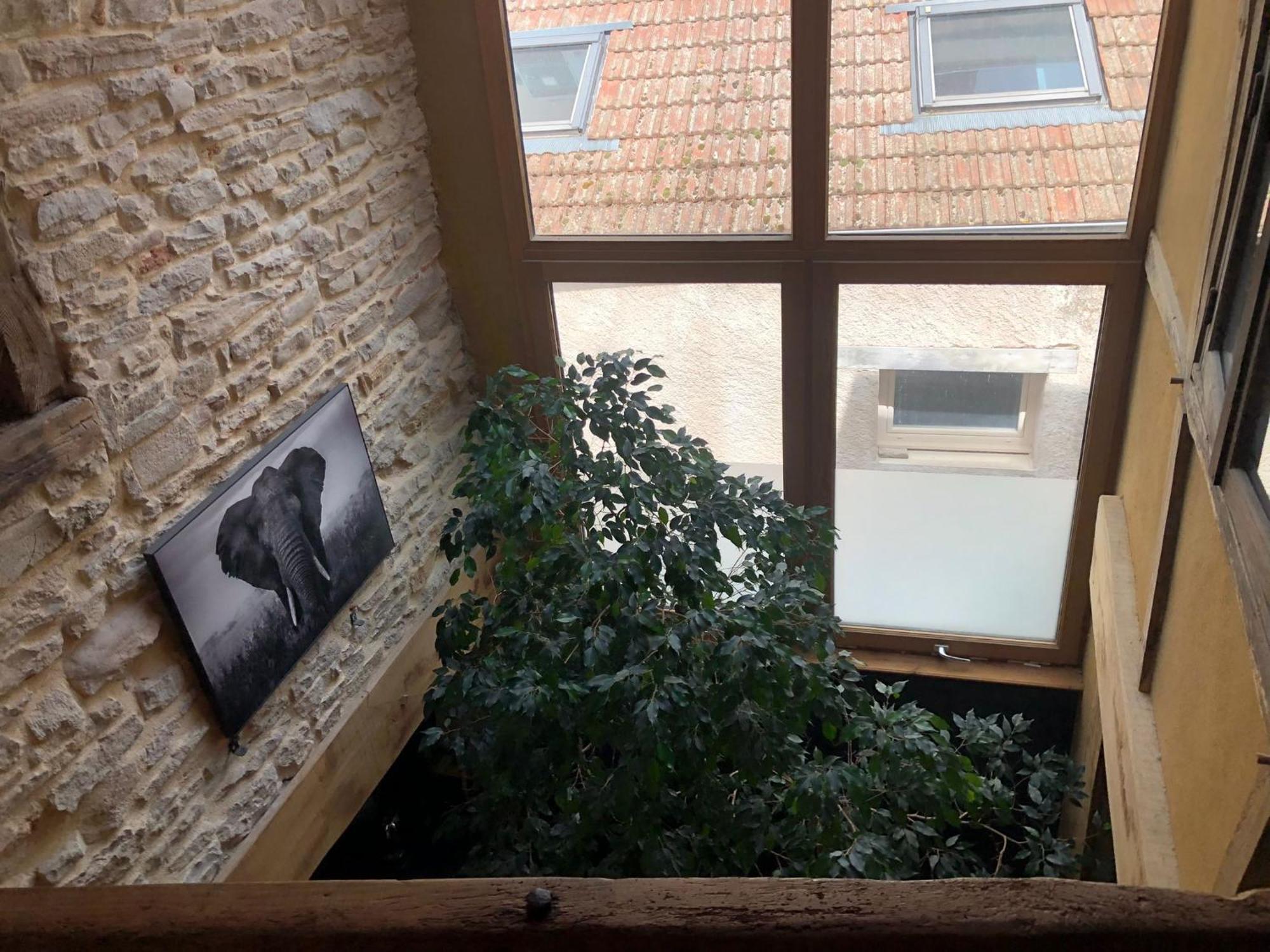 ביון Maison Millot מראה חיצוני תמונה